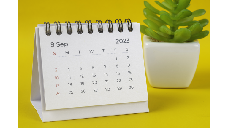 Calendar desk 2023 September is the month for the organizer to plan and deadline with house plants on the table against a yellow background.