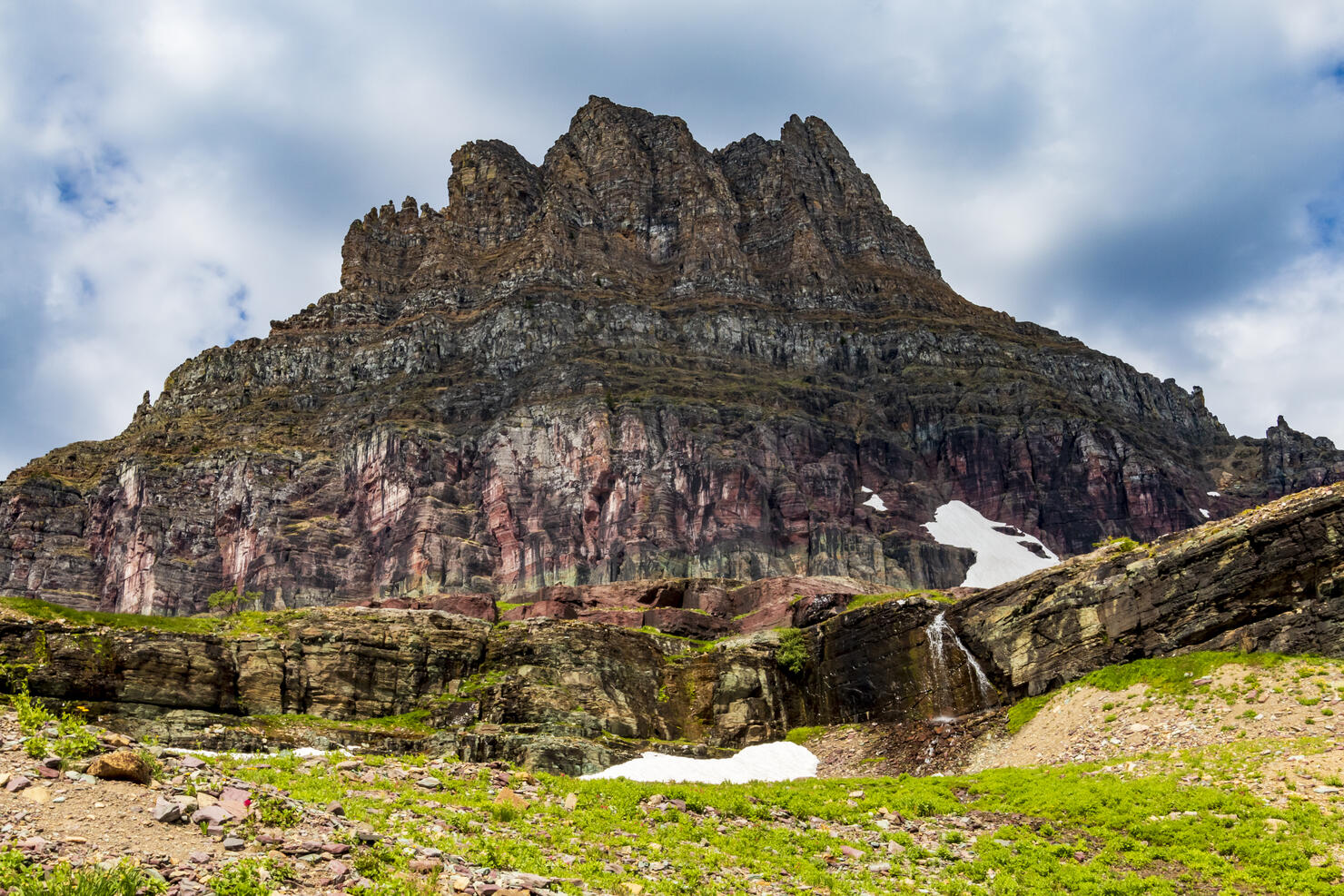 dramatic jagged mountain peak of Mt Reynolds and verdant summer landscape in Logan Pass in the Glacier National Park in Montana.