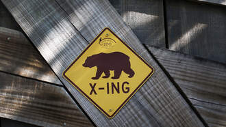 Only In Florida: Have You Heard the One About the 3-Legged Bear?!