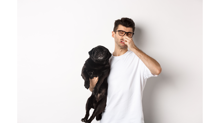 Man with lap pug standing against white background