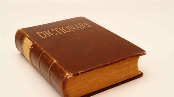 'Skibidi,' 'Tradwife' Among 6,000 New Words Added To Cambridge Dictionary