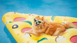 How Much Money Americans Need To Quit Jobs & Travel The World