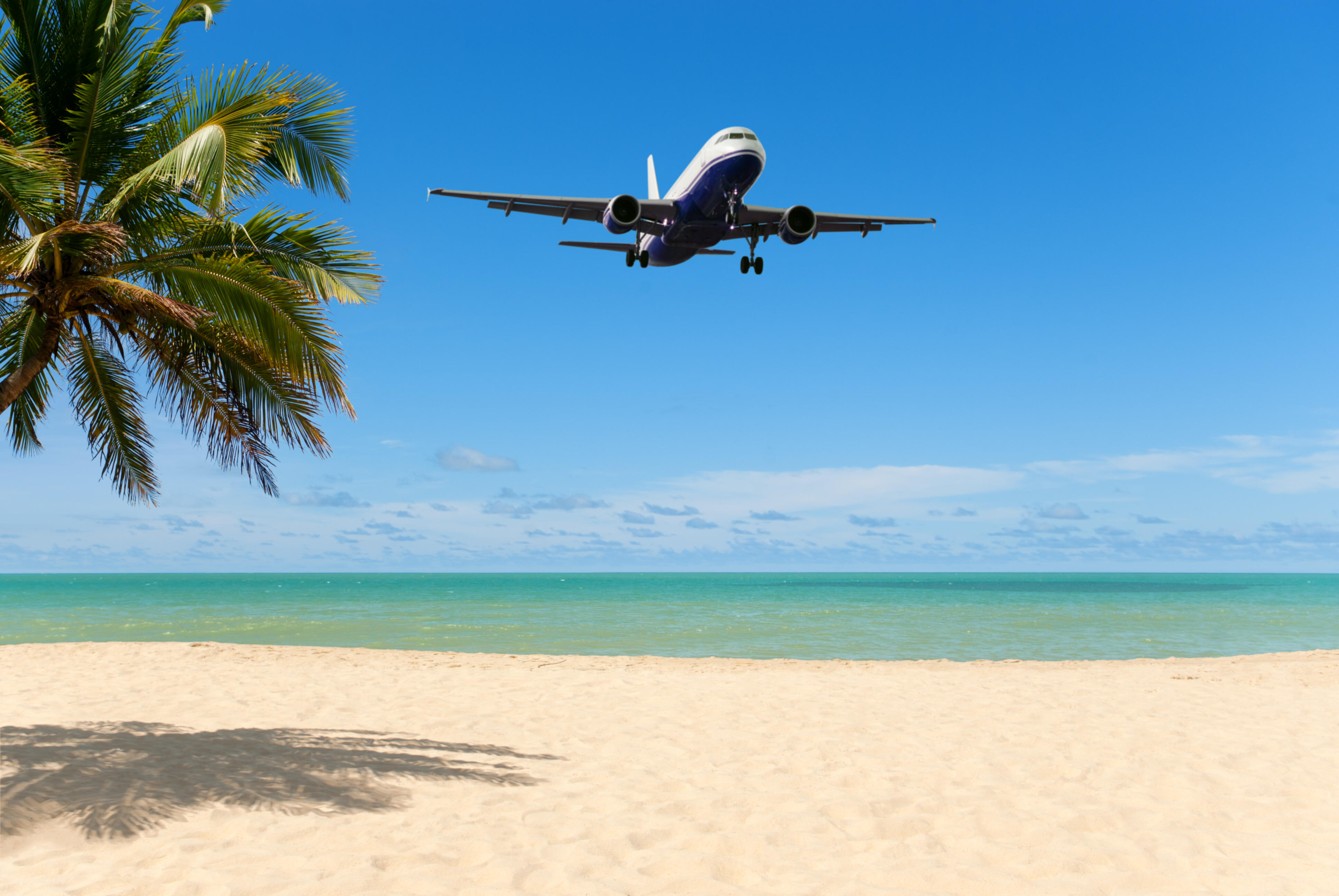 Лето авиарейсов. Самолет над морем. Пляж с самолетами. Самолет море пальмы. Самолет на фоне пляжа.