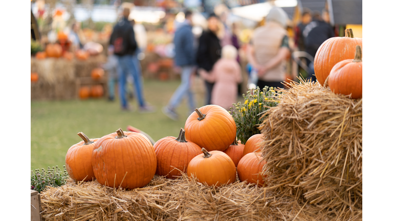 Pumpkins on straw bales against the background of people at an agricultural fair