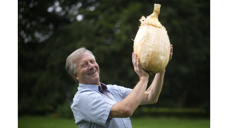 Harrogate Autumn Flower Show Opens To The Public