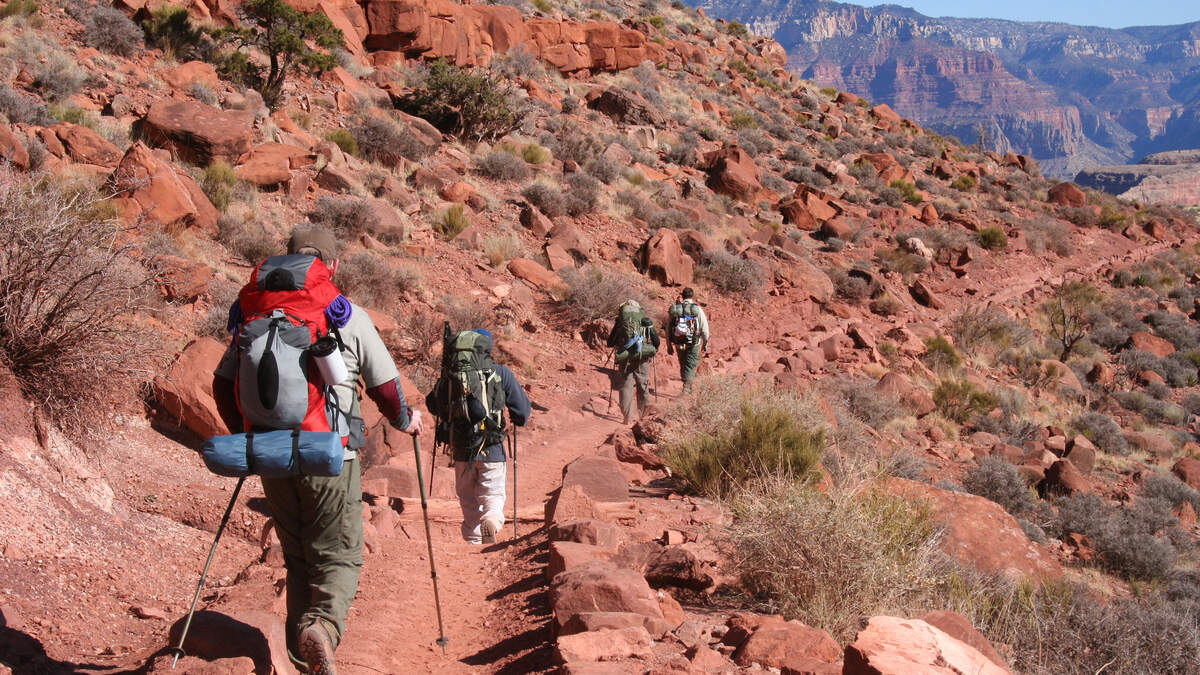 ⏩SOLVED:SSM Suppose you are hiking down the Grand Canyon. At the