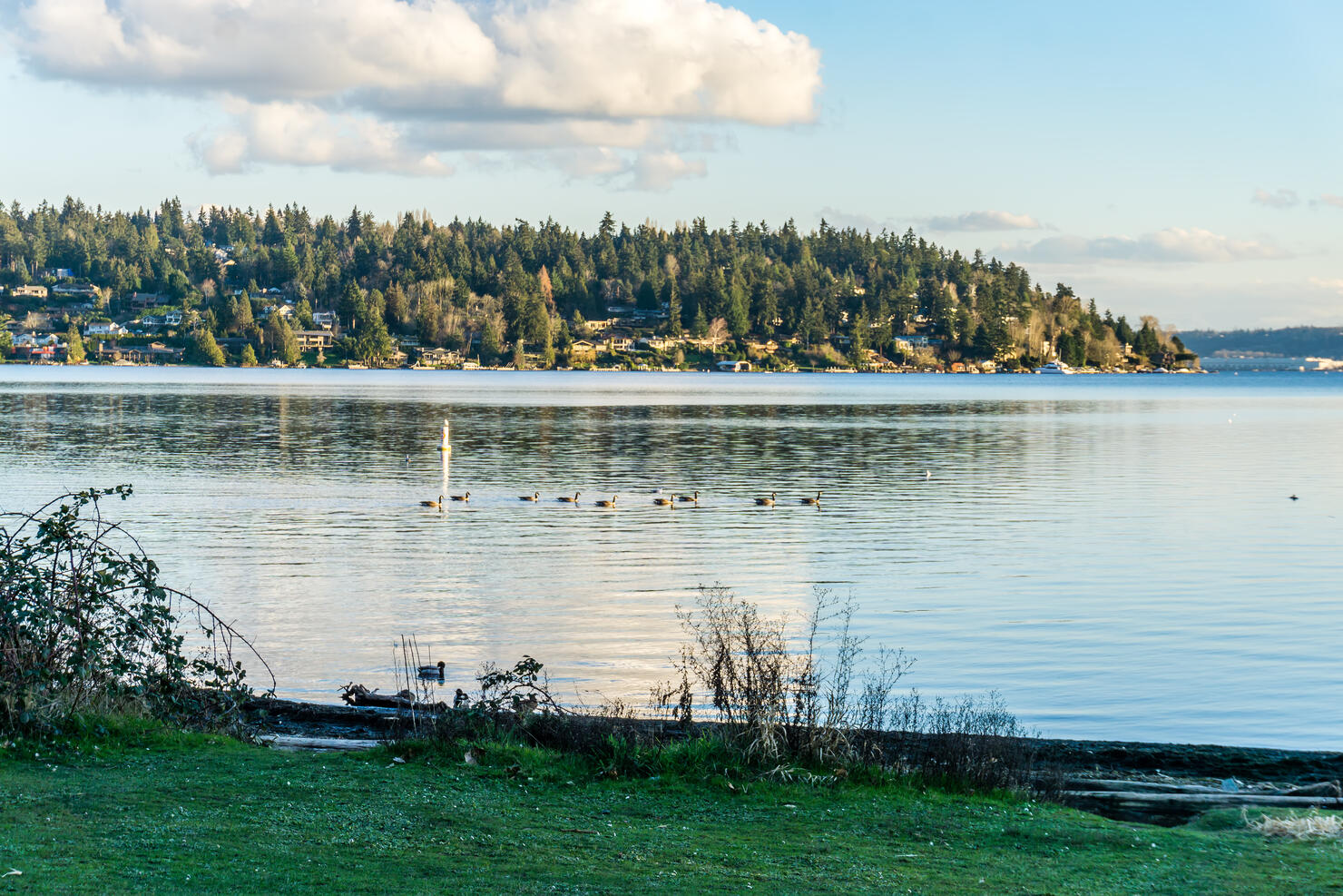 Lake Island And Clouds 2