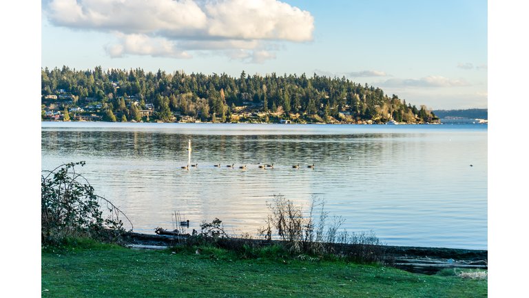 Lake Island And Clouds 2