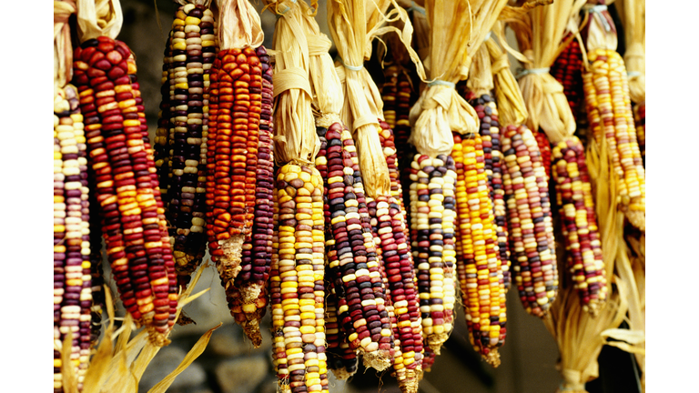 Close-up of colorful Indian corn in shop in Cherokee, North Carolina