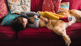 Missing Toddler Found Sleeping On Top Of Dog In The Woods