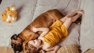 The Secret Genius of Dogs