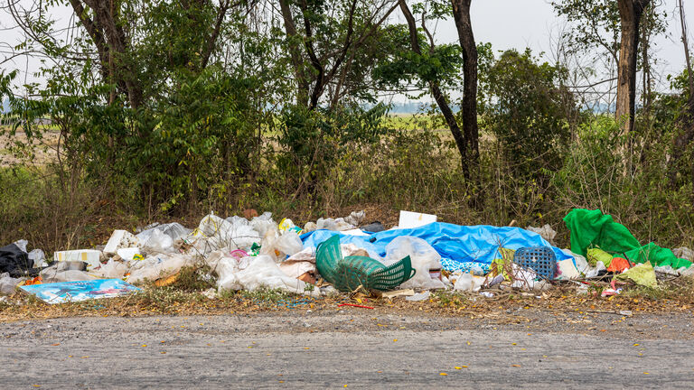 Throwing rubbish on the side of the road.