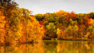 Hang Out With Ken Milam Via His Podcast! 