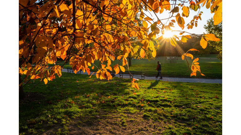 Fall Colors Shine In Brooklyn's Prospect Park