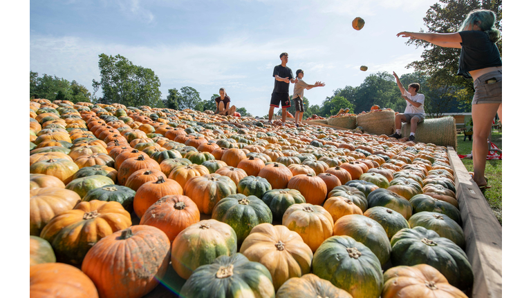 GERMANY-PUMPKINS-EXHIBITION