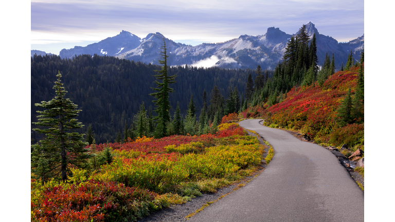 Beautiful autumn colors at Mt. Rainier National Park in Washington state