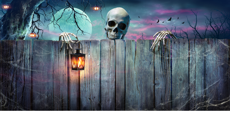 Halloween - Skeleton Holding Lantern On Wooden Banner In Night