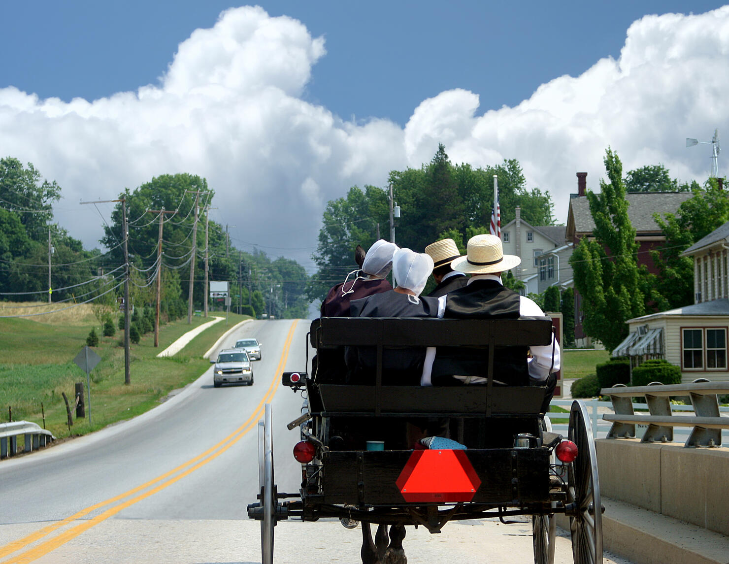 Amish Courting Buggy
