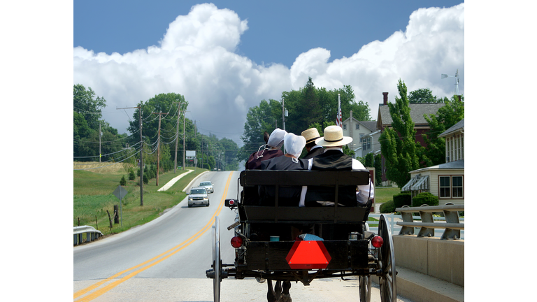 Amish Courting Buggy