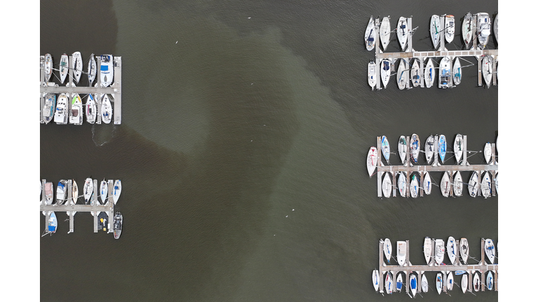 Red Tide Leaves Water Around East Bay Brown