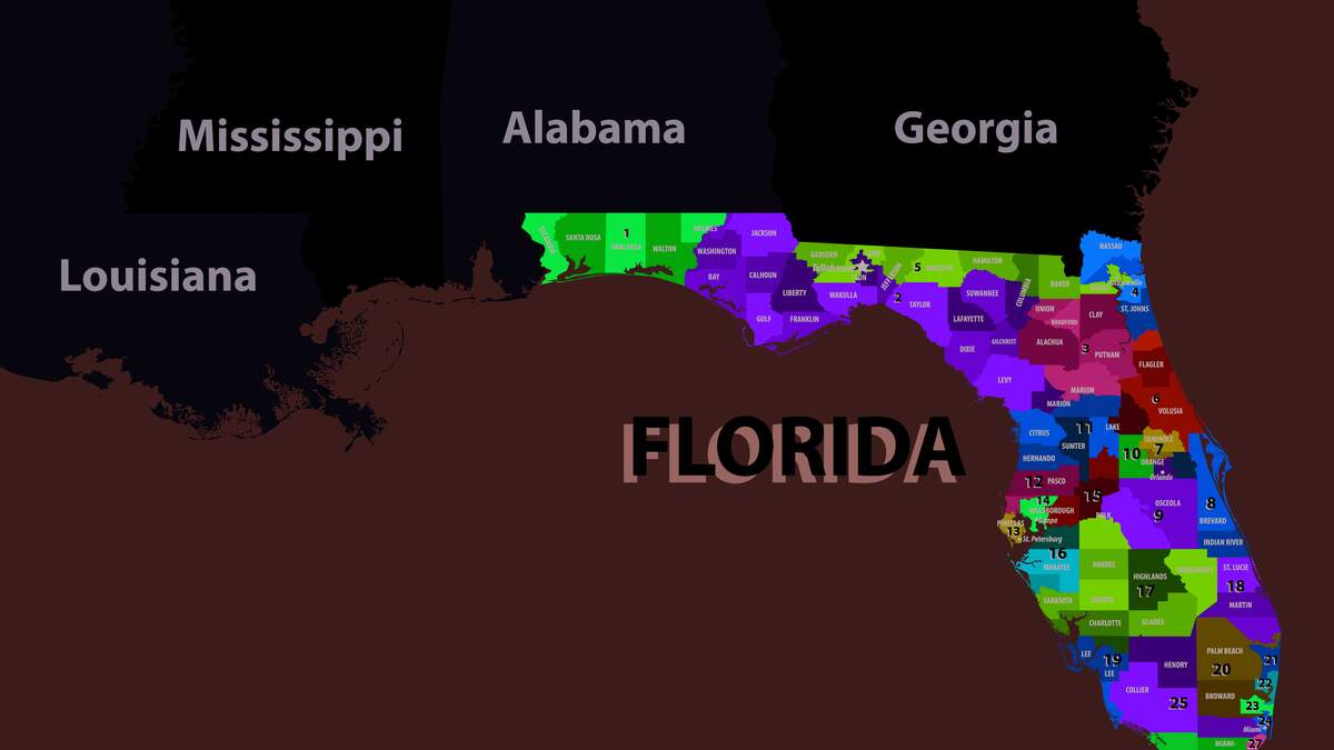 Q&A of the Day How Florida’s Historically Blue Counties Are Trending