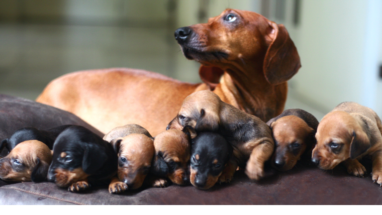 Children