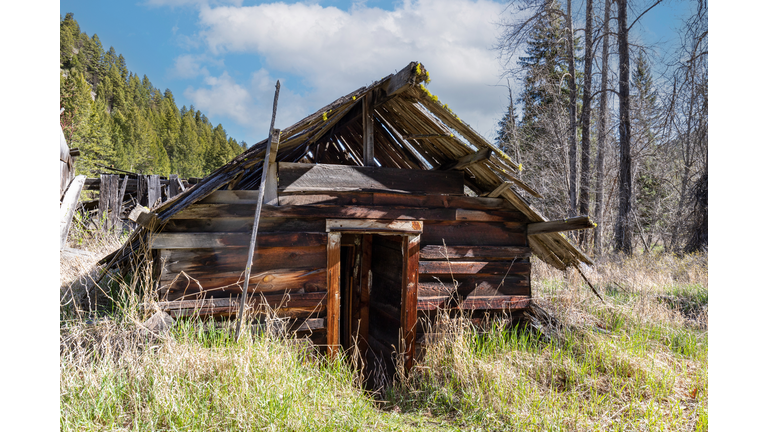 One of the last log cabins standing