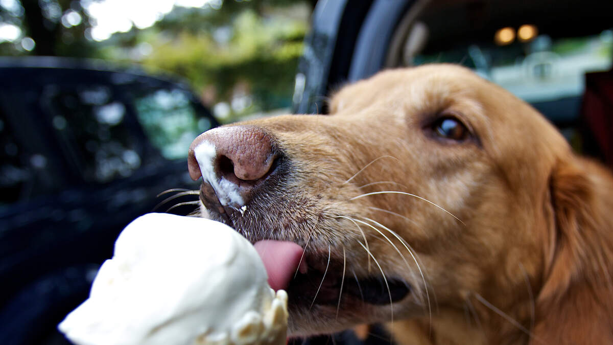 Happy National Vanilla Ice Cream Day! WNCI 97.9 Chris Davis