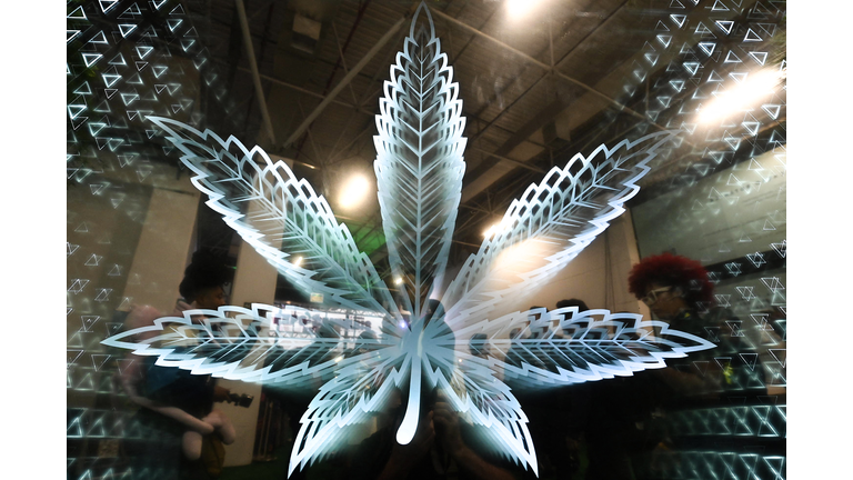 BRAZIL-CANNABIS-EXPO