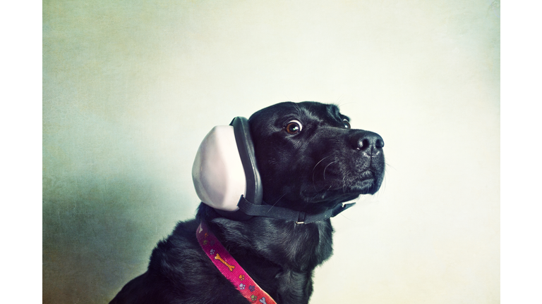 I bet you think I'm listening