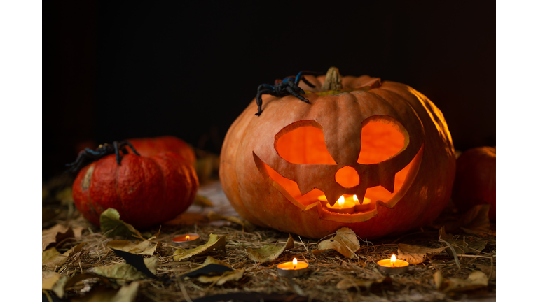 Halloween - old jack-o-lantern on black background