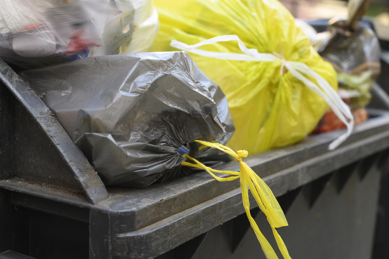 Container full of garbage bags. Berlin. Germany.
