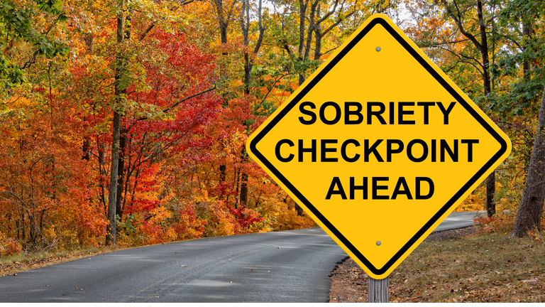 Sobriety Checkpoint Ahead Warning Sign - Autumn Background