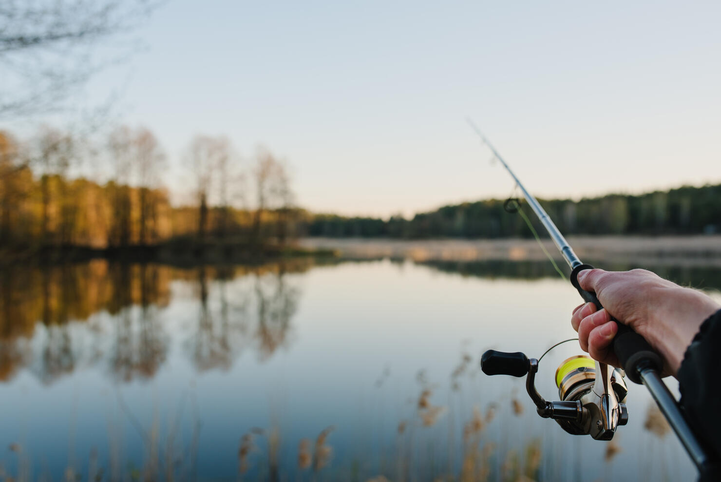 Fishing. Fisherman with rod, spinning reel on the river bank. Fishing for pike, perch, carp. Fog against the backdrop of lake. background Misty morning. wild nature. Article about fishing day.