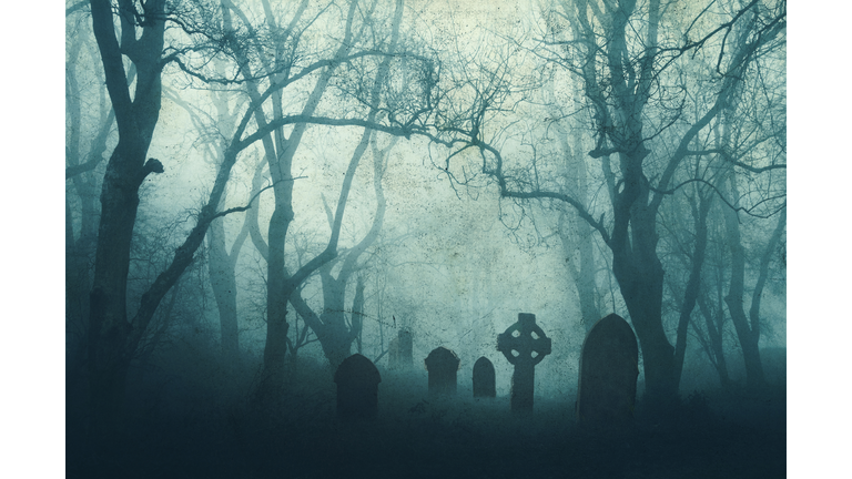 A horror concept of a spooky graveyard in a scary forest in winter, with the trees silhouetted by fog. With a muted, grunge edit.