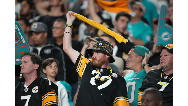 Pittsburgh Steelers v Miami Dolphins