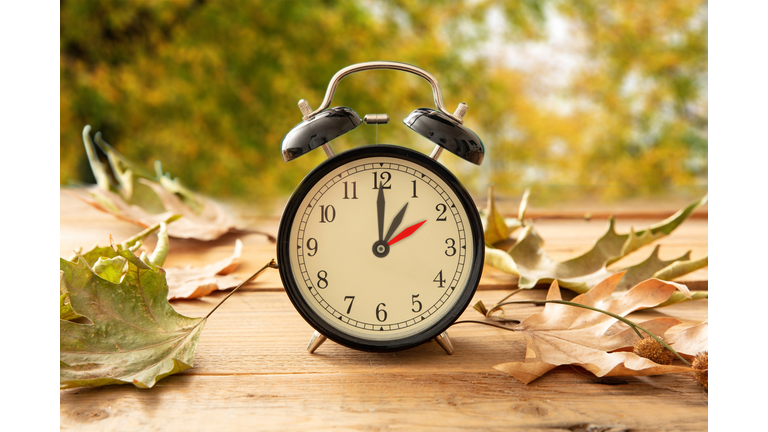 Fall Back one hour. Daylight Saving Time, Black clock on wood, autumn trees background