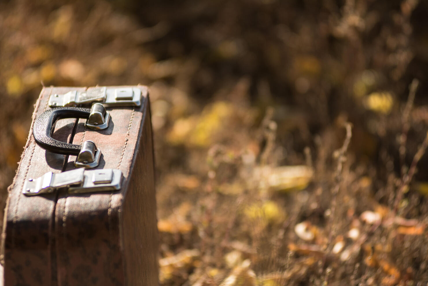 Suitcase standing on the grass with yellow