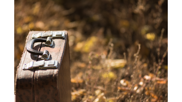 Suitcase standing on the grass with yellow