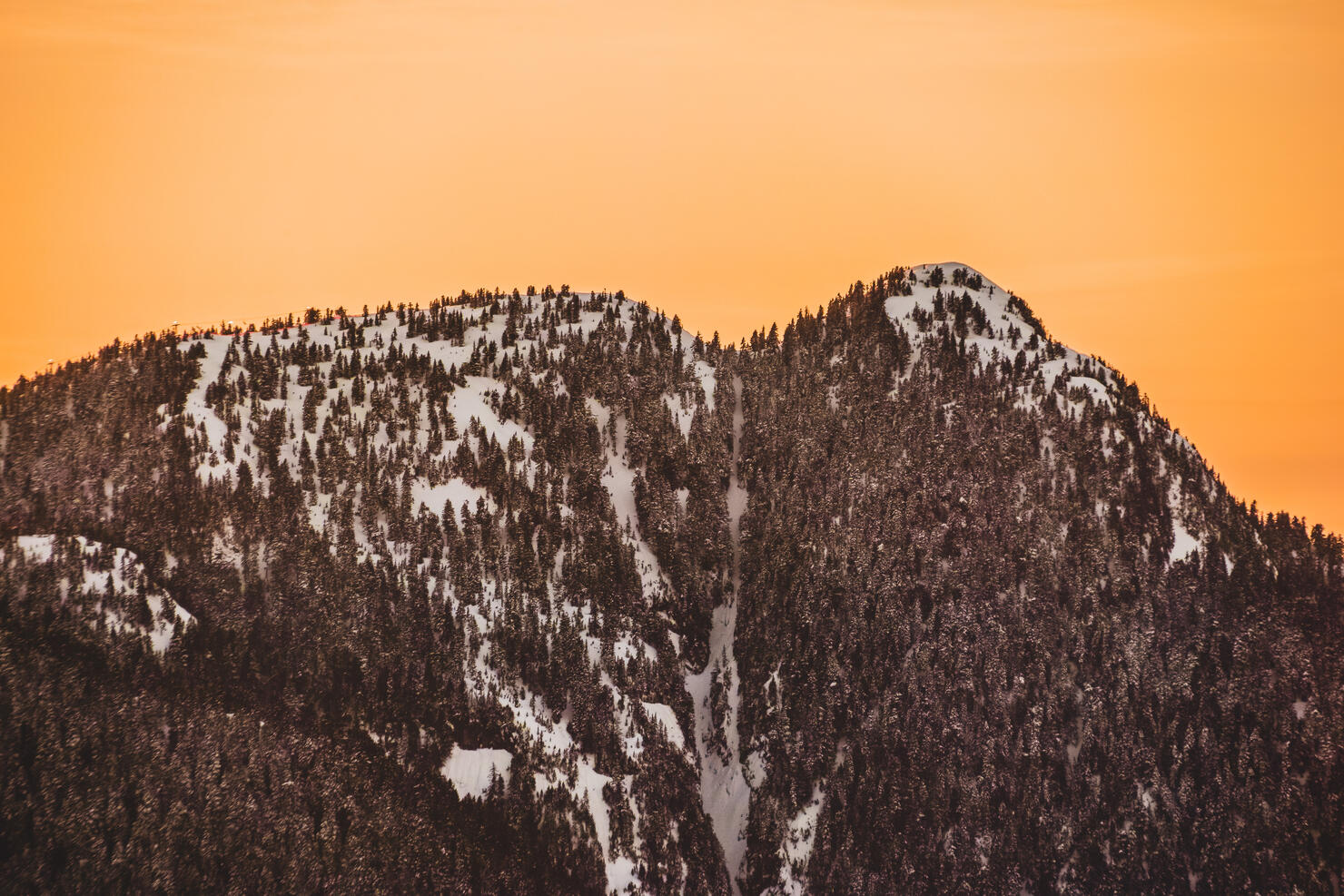 Grouse Mountain in North Vancouver, BC, Canada