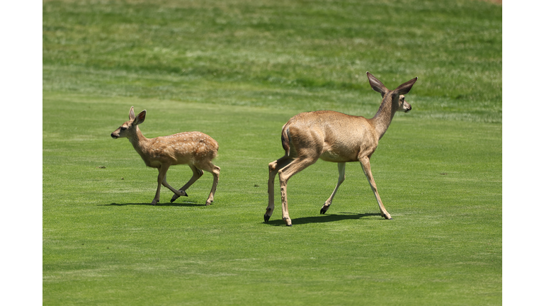 The 78th U.S. Women's Open - Final Round