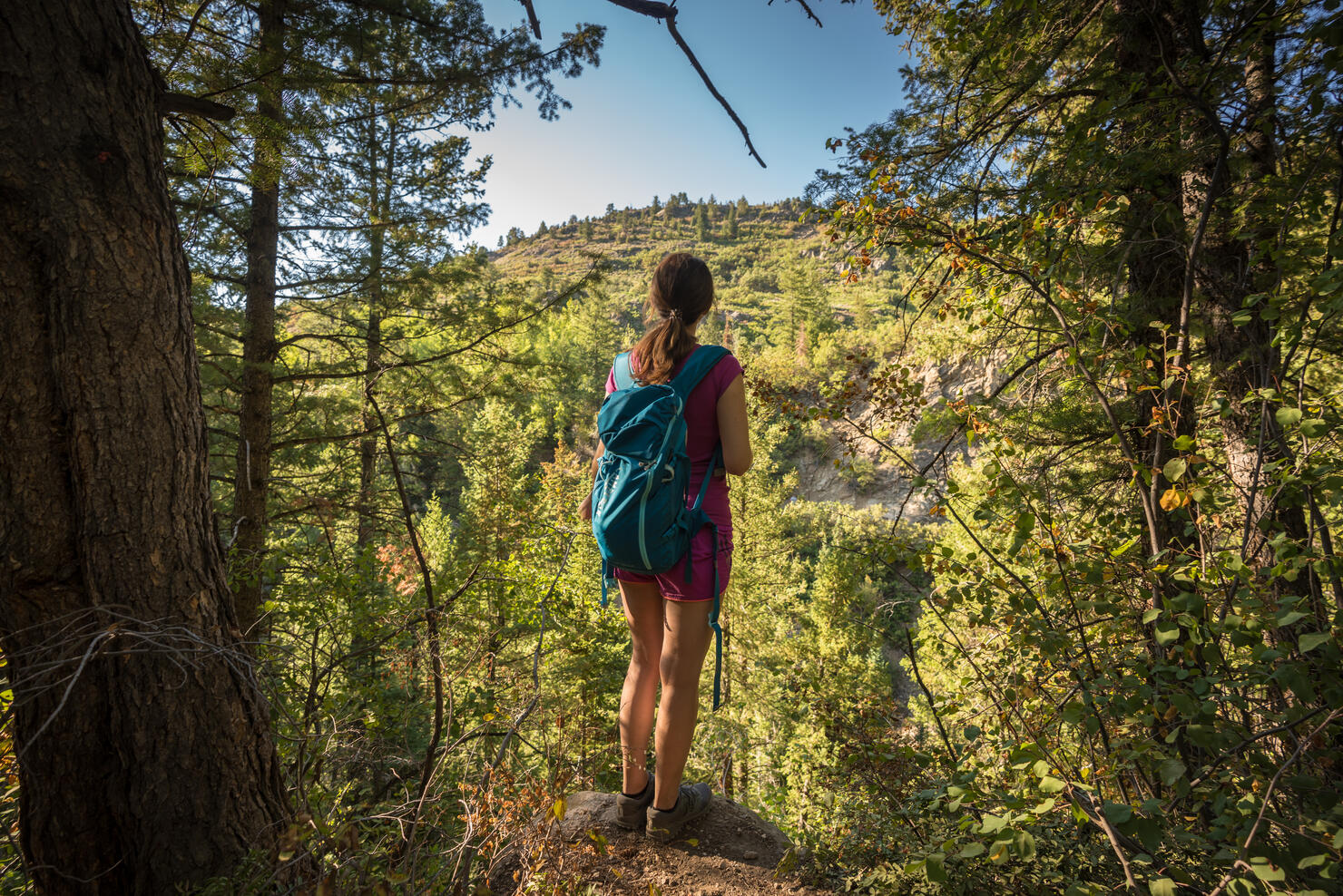 Rear view of woman standing on mountain against sky,Steamboat Springs,Colorado,United States,USA