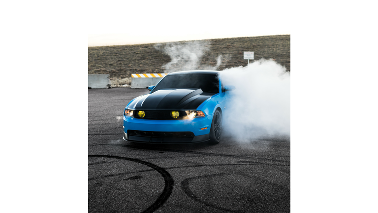 Blue Mustang