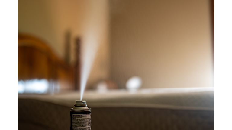 Selective focus on insect insecticide aerosol can fogger used to kill bed bugs, spiders, mites, flies, and fleas