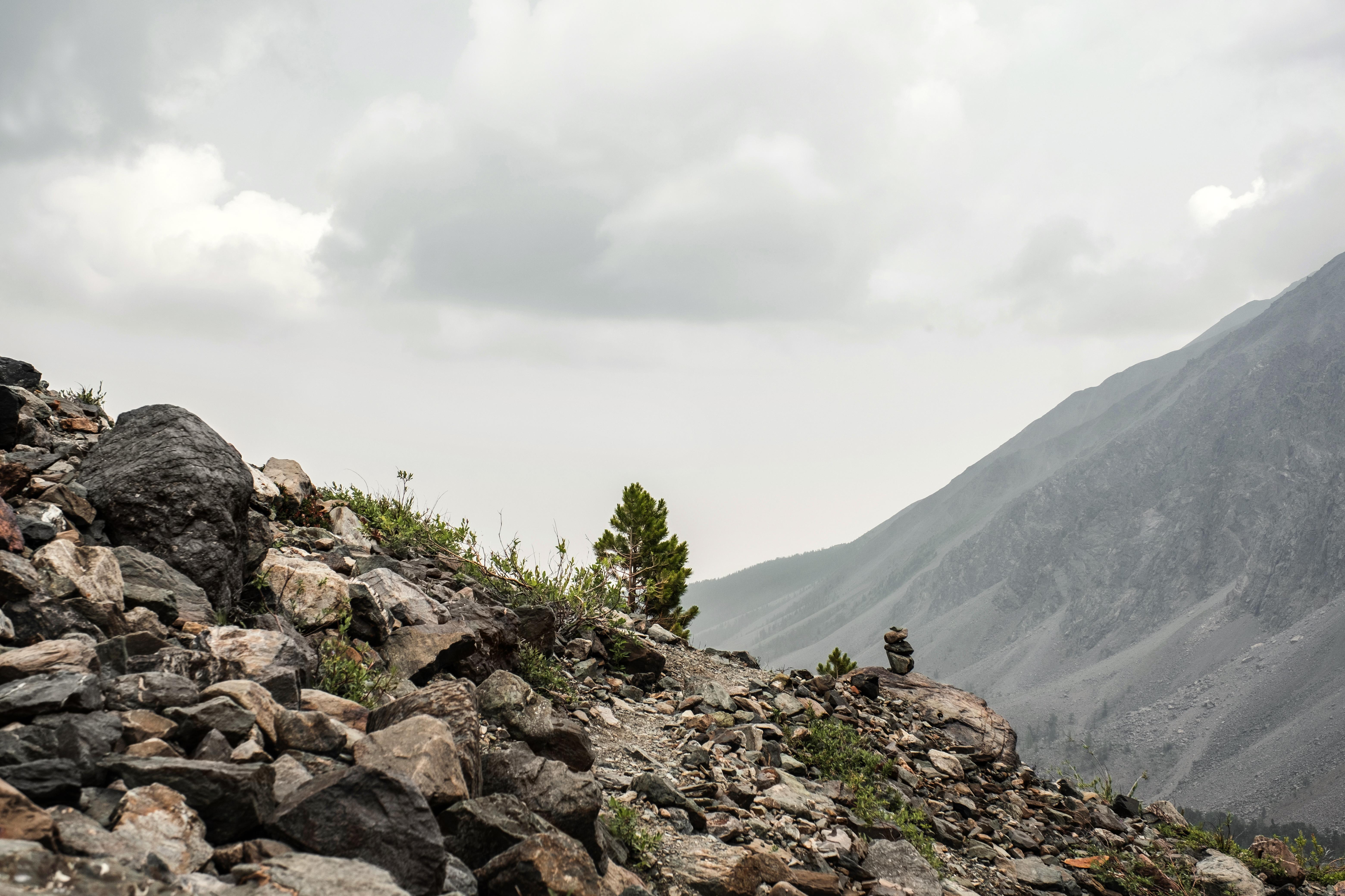 Hiker Missing For Months Found Dead With His Dog Still Alive By His ...