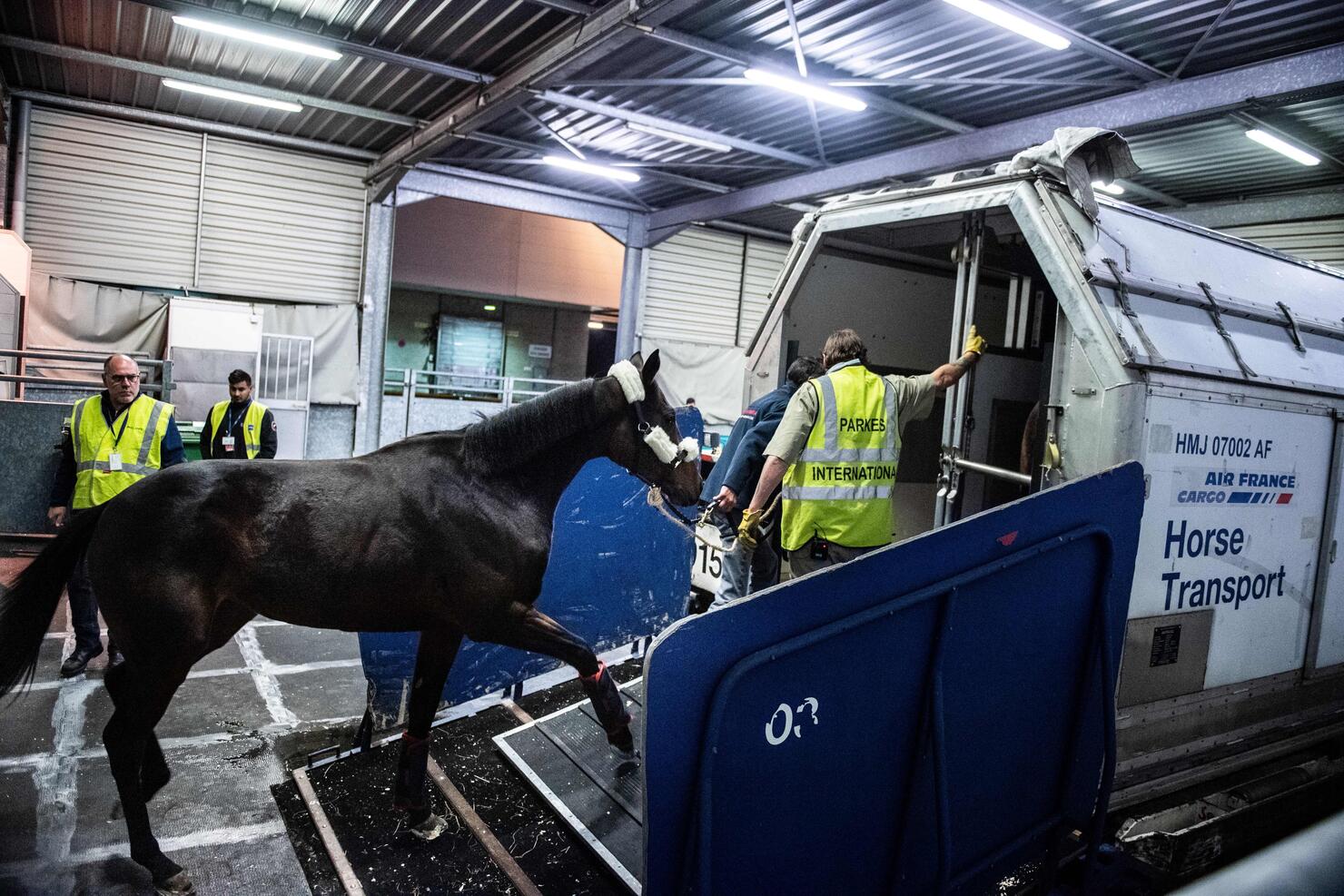 FRANCE-ANIMAL-TRANSPORT-PLANE