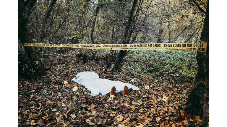 Group of people, crime scene investigation, police and forensics doing their jobs, there is a dead body in the forest.