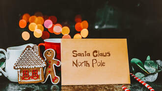 Shock Collar Question (12/22/25)