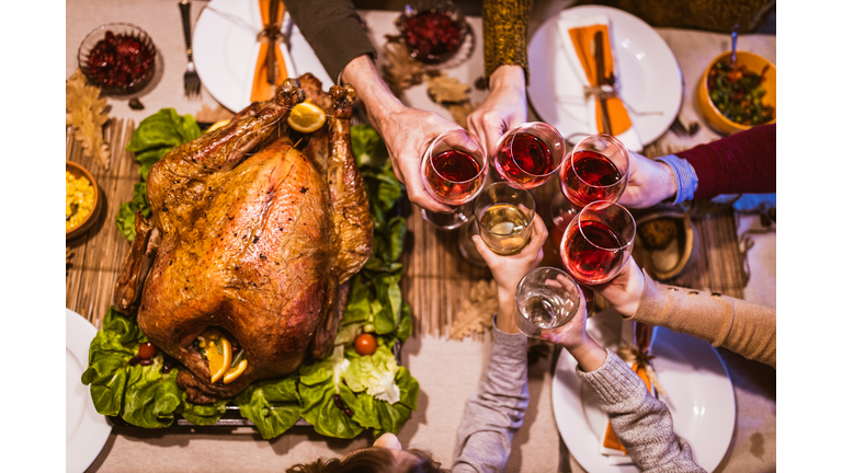 Family's toast during Thanksgiving lunch!