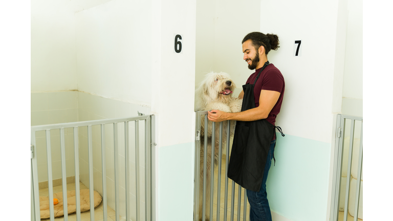 Pet groomer working at the dog daycare and pet hotel